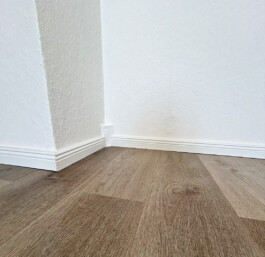 WGS - Wohnungs- & Gebäudesanierung Sachsen